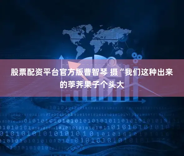 股票配资平台官方版　曹智琴 摄　　“我们这种出来的荸荠果子个头大