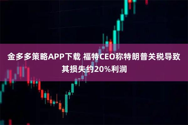 金多多策略APP下载 福特CEO称特朗普关税导致其损失约20%利润