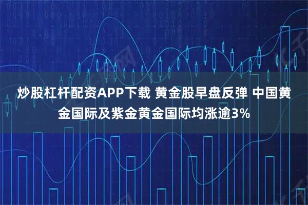 炒股杠杆配资APP下载 黄金股早盘反弹 中国黄金国际及紫金黄金国际均涨逾3%