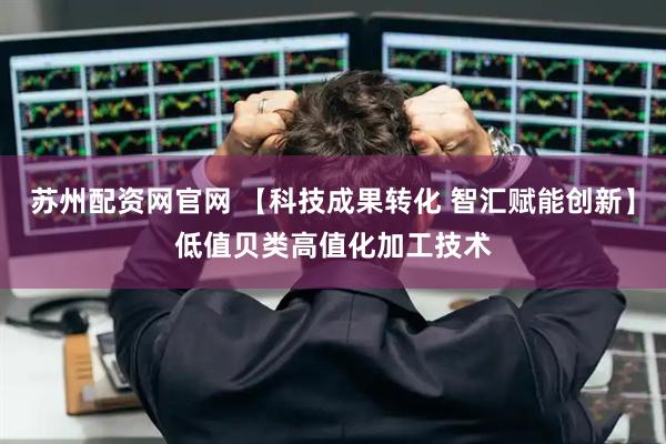 苏州配资网官网 【科技成果转化 智汇赋能创新】低值贝类高值化加工技术